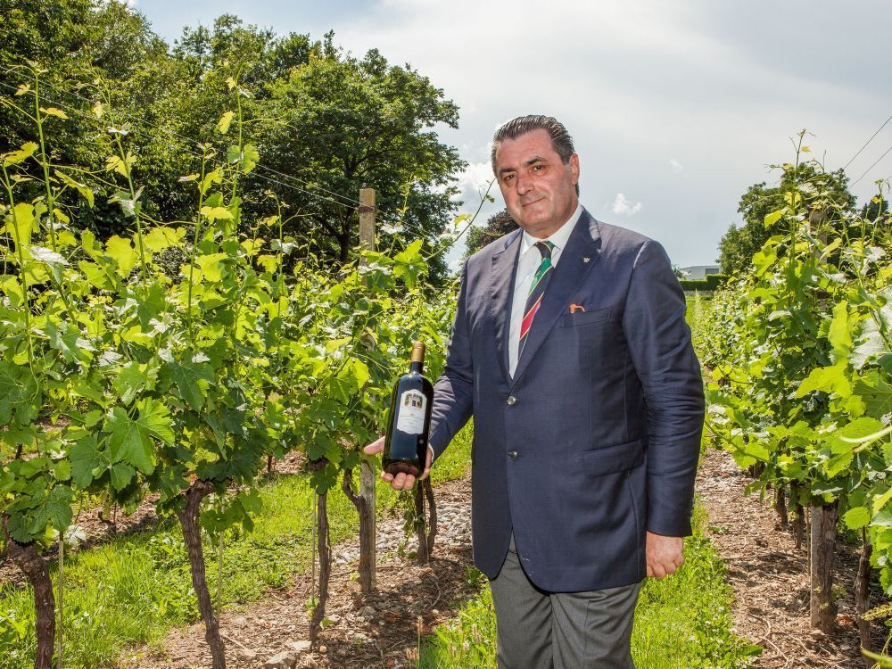 Vigneti